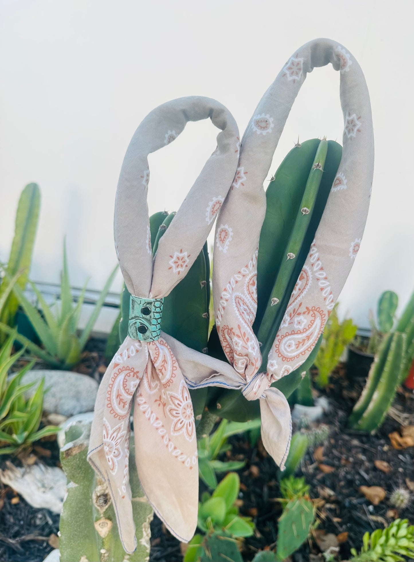 Mushroom Color Bandana