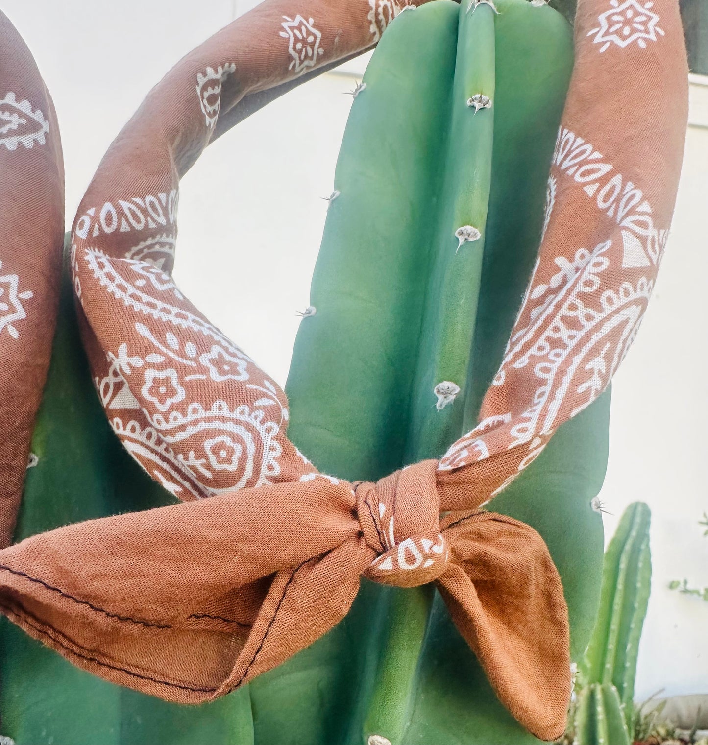 Rust Bandana