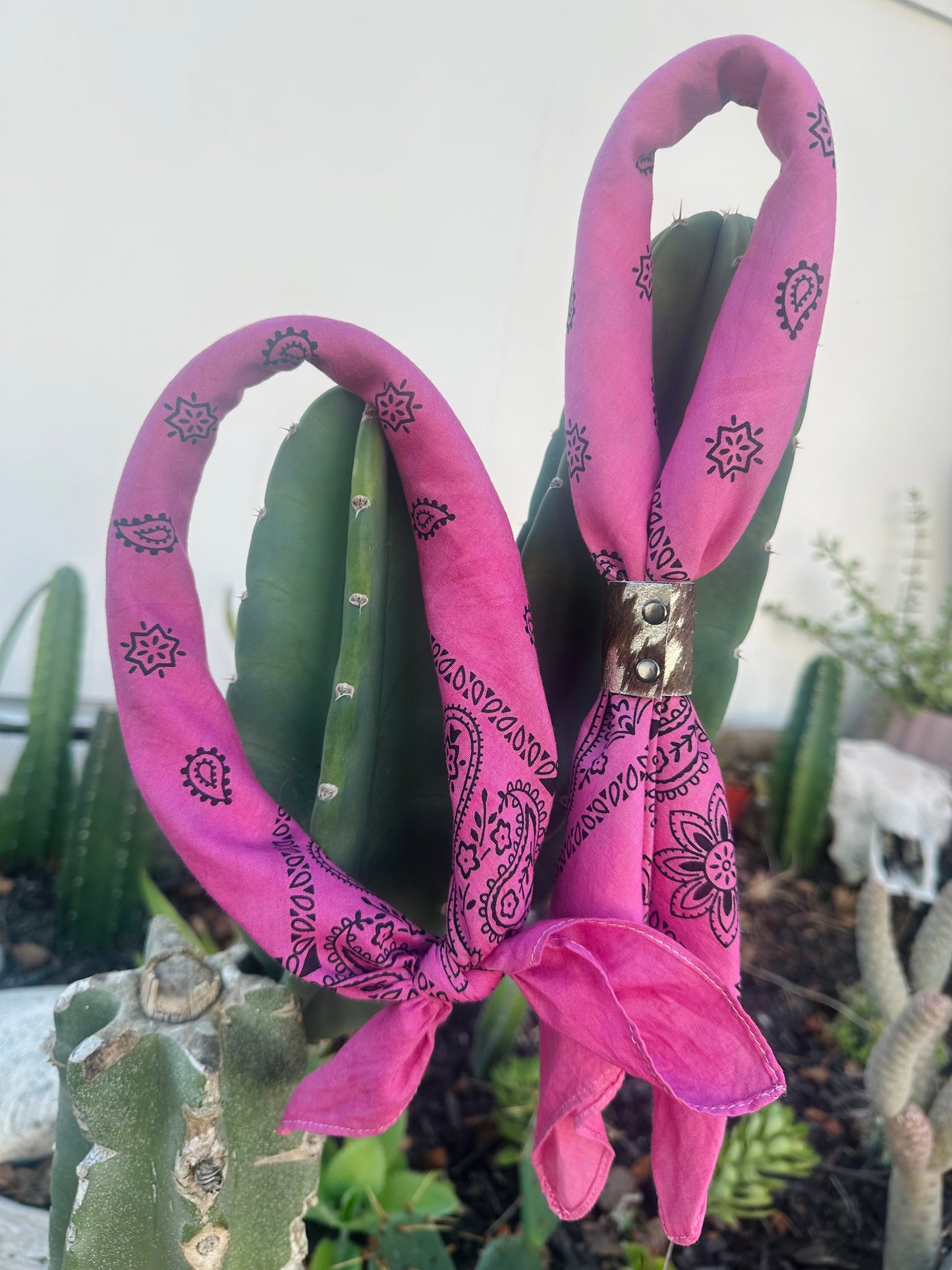 Sangria Bandana