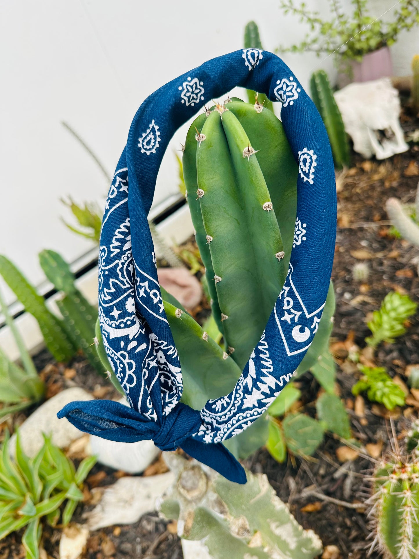 Navy Bandana