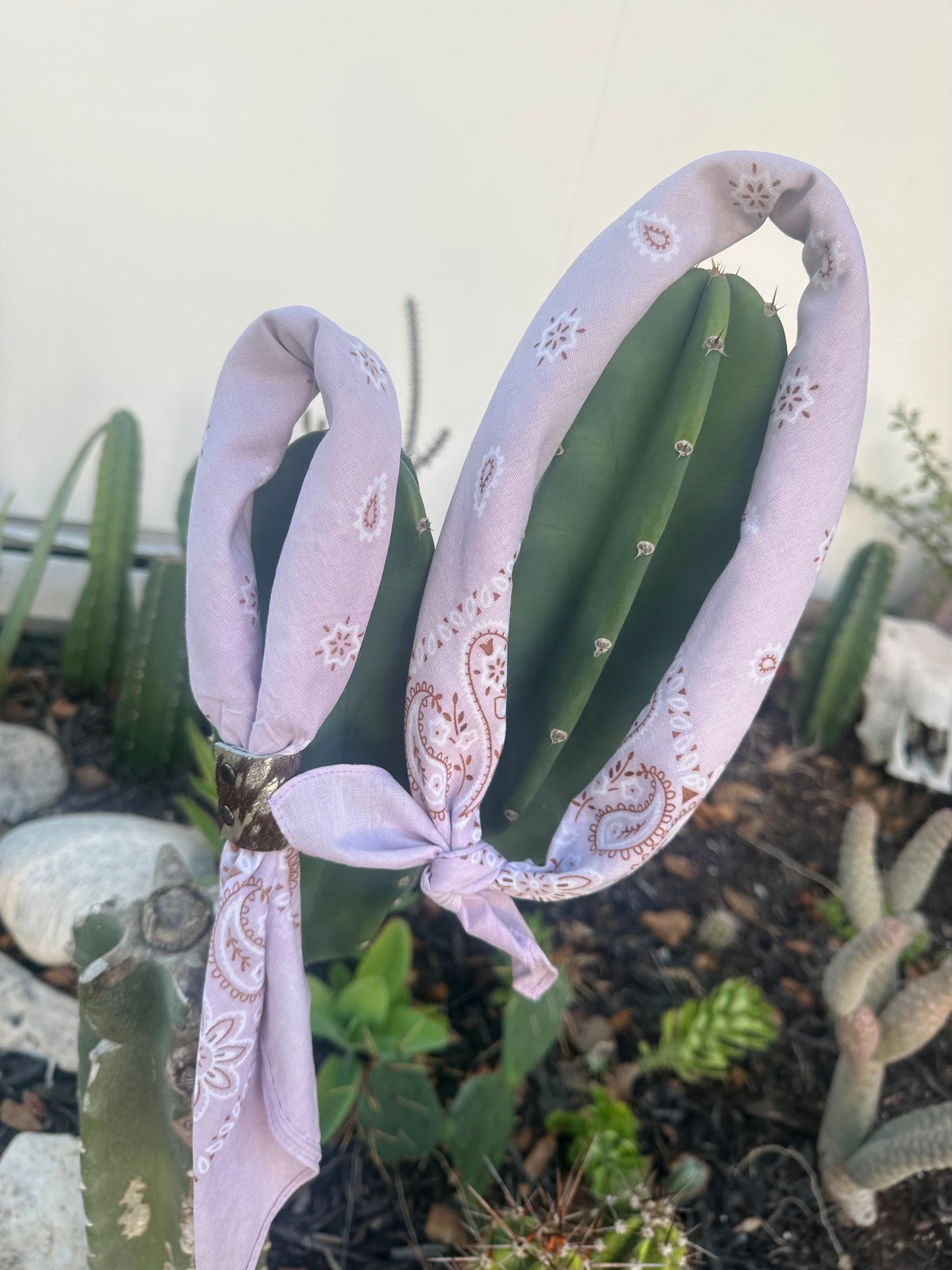 Lavender Bandana