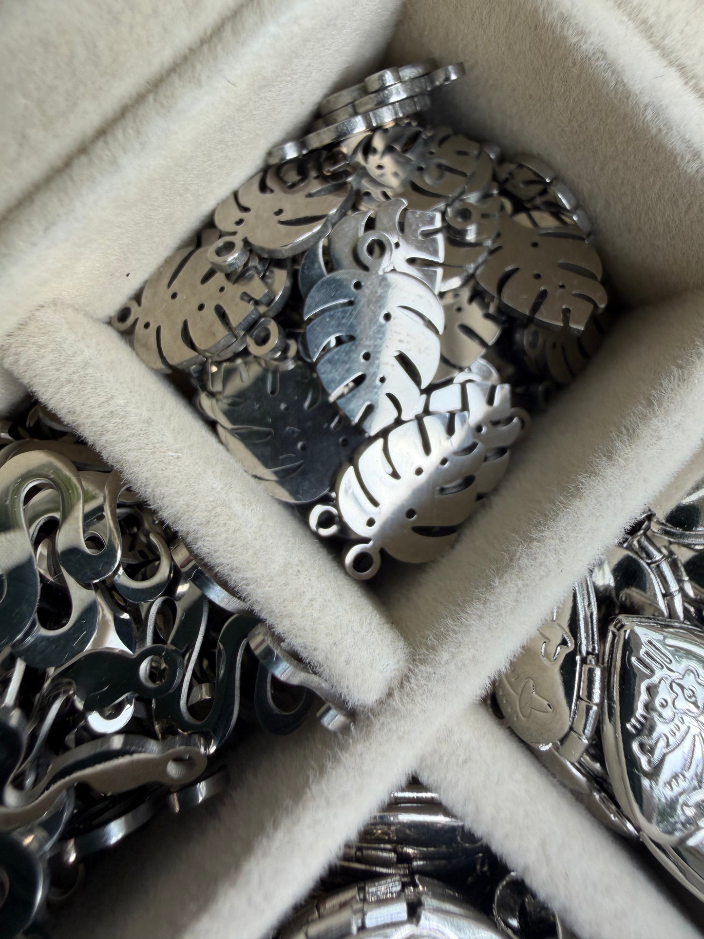 Monstera Charm