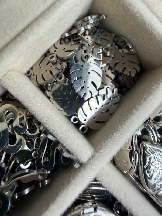 Monstera Charm