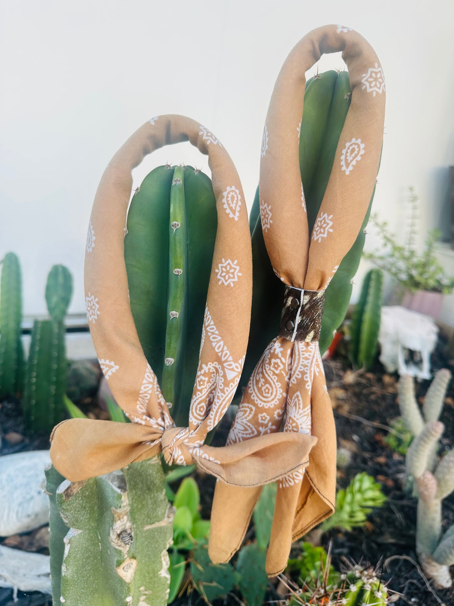 Copper Color Bandana