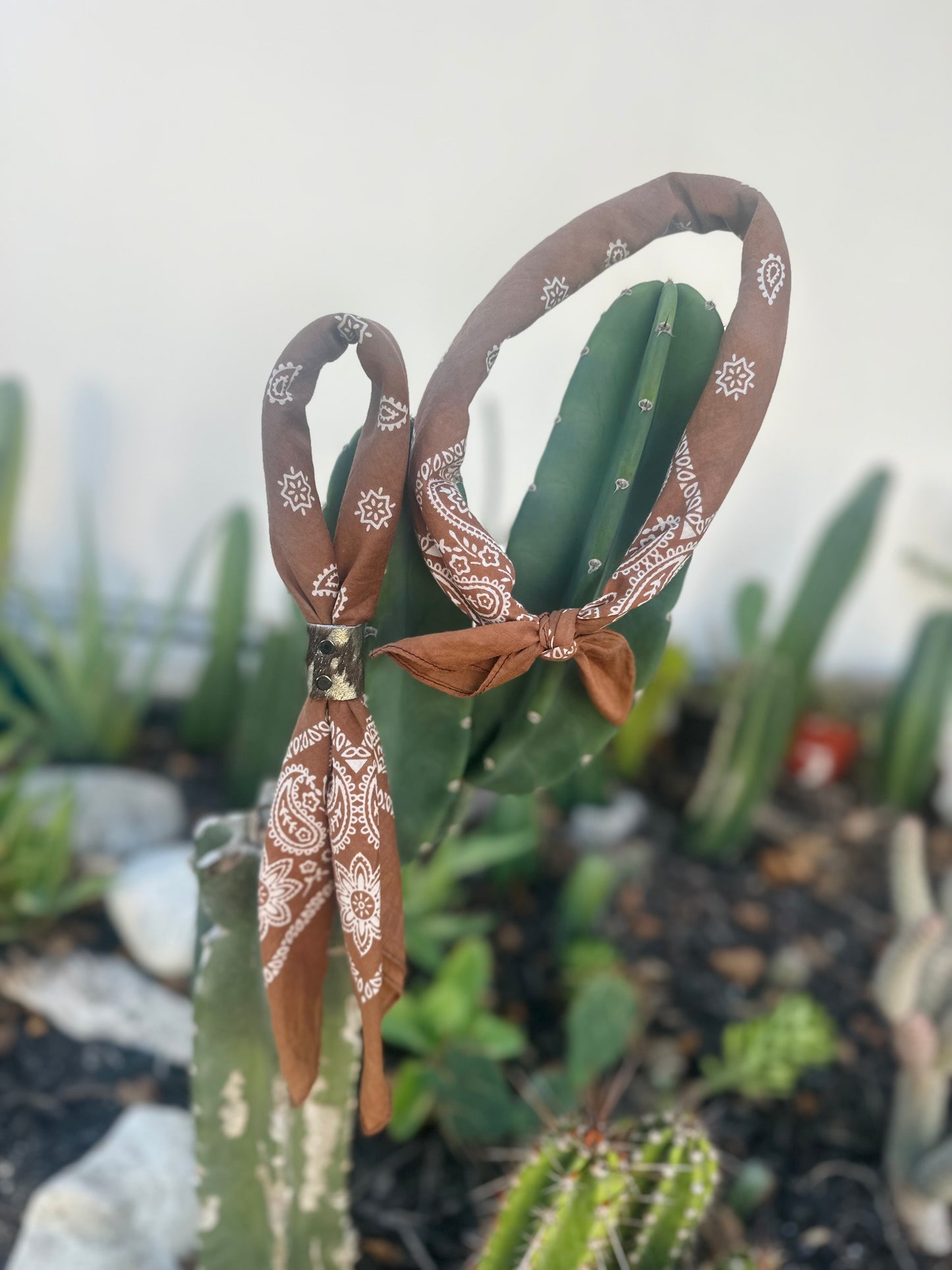 Rust Bandana