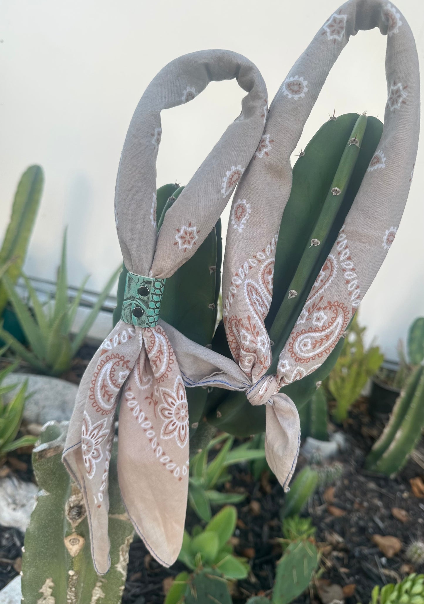 Mushroom Color Bandana