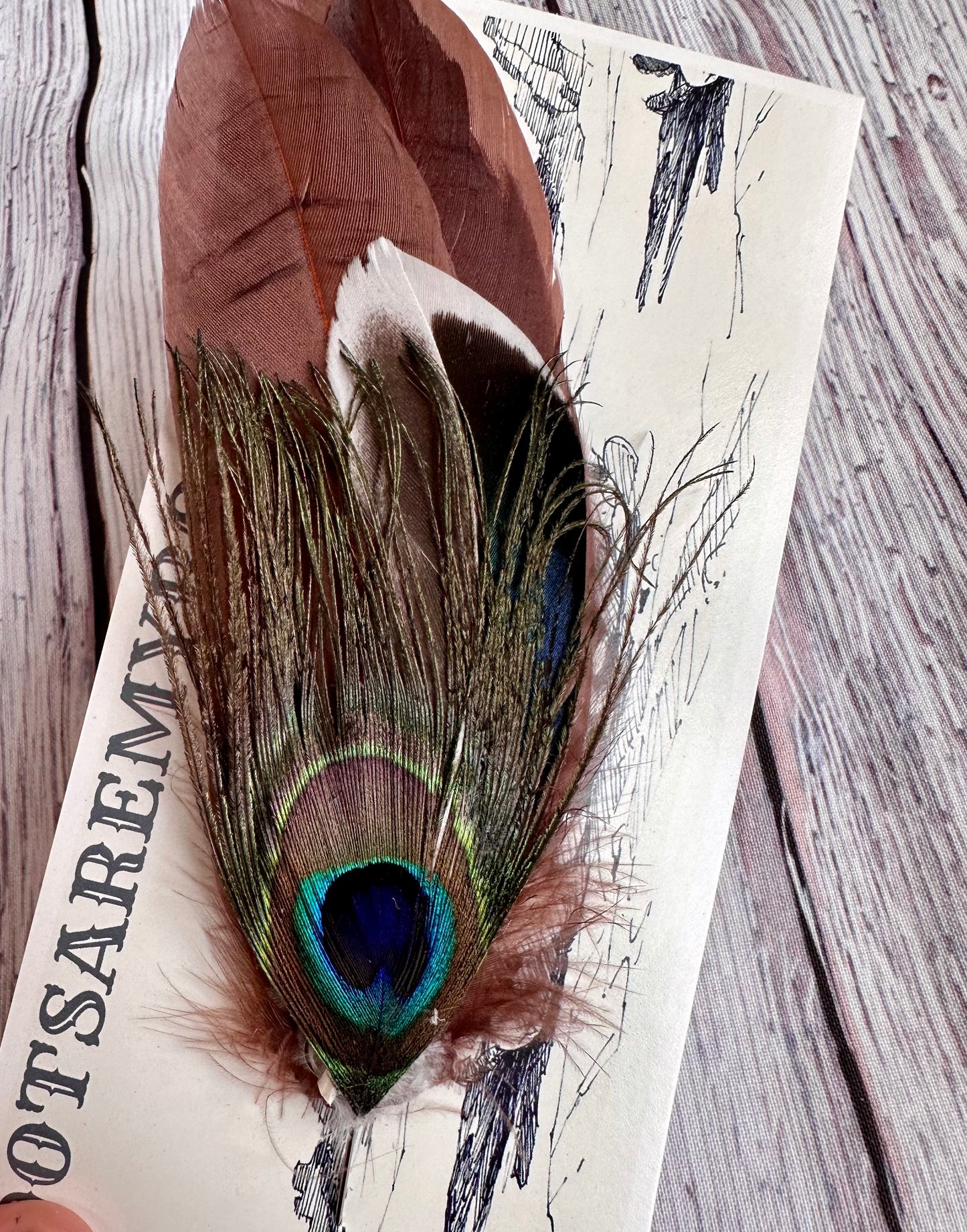 Mauve & Peacock Feather Hat Pin